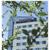 Park Inn Klosterneuburg