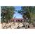 Rancho De La Osa