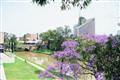 SEBEL PARAMATTA-FORMERLY CARLTON CREST
