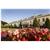 Hilton Avisford Park Hotel