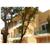 NEMEA APPART HOTEL SOPHIA ANTIPOLIS