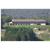 Canaan Valley Resort and Conf Ctr