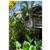 Bananarama Dive And Beach Resort