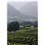 Bernardus Lodge