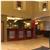 Lakeview Inn and Suites Fort Nelson
