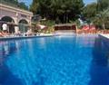 Delfin Siesta Mar