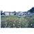 Country Inn & Suites by Carlson, Vaishno