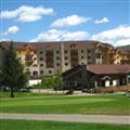 The Tamarack
