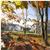Shawnee Village Resort