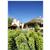 Rancho Caymus Inn