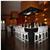 Grand Oasis Bavaro Suites