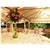 Hilton Princess San Pedro Sula hote