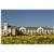 Extended Stay America-Sacramento-West Sacramento
