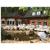 Hotel Waldschloesschen