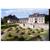 Chateau de la Bourdaisiere