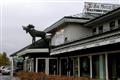Big Moose Hotel
