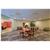 Holiday Inn PLATTSBURGH (ADIRONDACK AREA)