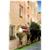 Appia