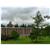 Adirondack Efficiencies