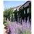 Manoir de Gressy