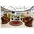 Red Carpet Inn and Suites Burlington