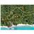 Arenas Del Mar Beach And Nature Resort