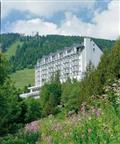 BEST WESTERN Ahorn Hotel Birkenhof