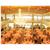 Triumphal Holiday Hotel