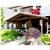 Lakeside Inn Resort