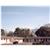 Scottish Inns & Suites Springdale