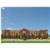 Hampton Inn  Suites Childress