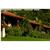 Borinquen Mountain Resort