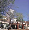 Gir Lodge
