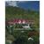 Villa Golden Reef