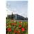 Regency Fairbanks Hotel