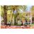 Riu Merengue - ALL INCLUSIVE
