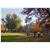 Residence Inn Princeton-South Brunswick