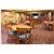 Holiday Inn ST. PAUL-I-94-EAST (3M AREA)