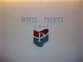 Hotel Pineta