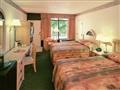 Hotel Le Acacie