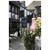 The Falstaff in Canterbury