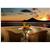 Arenas del Mar Beach & Spa Hotel