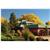 Sunrise Springs Resort Spa