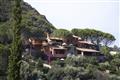 Il Pellicano