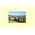 Le Phare Bleu Holiday Resort St. Georges