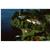 Moose Lodge & Golf Resort