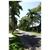 Tanoa International Hotel