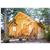 Shenandoah Crossings Resort