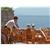 Aquila Hotels and Resorts Club Kapheros
