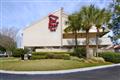 Red Roof Inn Jacksonville Orange Park